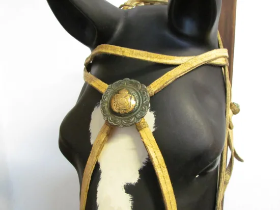 Lote: 260 - Lote: 260 - Preparo completo