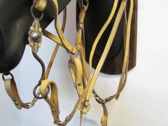 Lote: 260 - Lote: 260 - Preparo completo