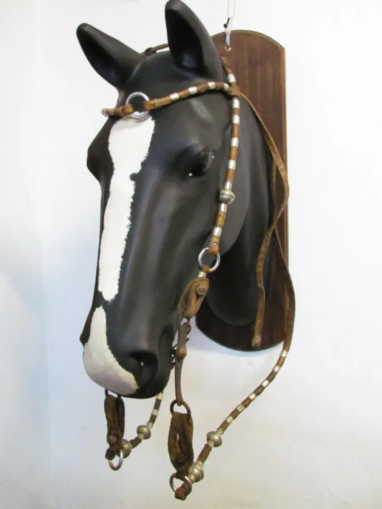 Lote: 257 - Lote: 257 - Cabezada, riendas y freno