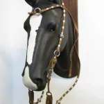 Lote: 257 - Lote: 257 - Cabezada, riendas y freno