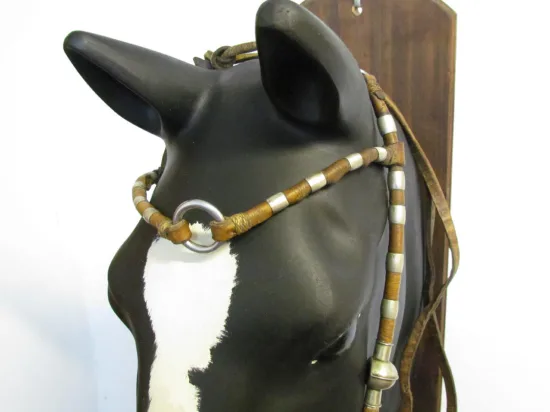 Lote: 257 - Lote: 257 - Cabezada, riendas y freno