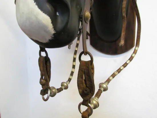 Lote: 257 - Lote: 257 - Cabezada, riendas y freno
