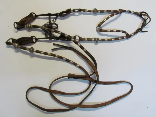 Lote: 257 - Lote: 257 - Cabezada, riendas y freno