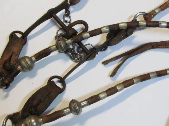Lote: 257 - Lote: 257 - Cabezada, riendas y freno