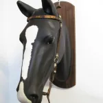 Lote: 255 - Lote: 255 - Cabezada y freno