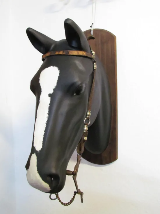 Lote: 255 - Lote: 255 - Cabezada y freno