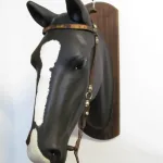 Lote: 255 - Lote: 255 - Cabezada y freno