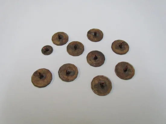 Lote: 2 - Lote: 2 - Lote criollo