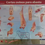 Lote: 28.C - Lote: 28.C - Cuadro