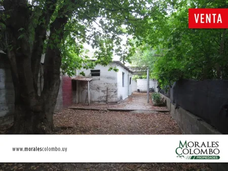 Casa con terreno. Florida