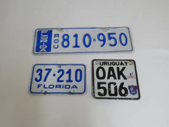 Lote: 41 - Lote: 41 - Chapas